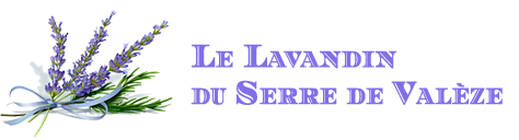 Le Lavandin et Cade du Serre de Valèze